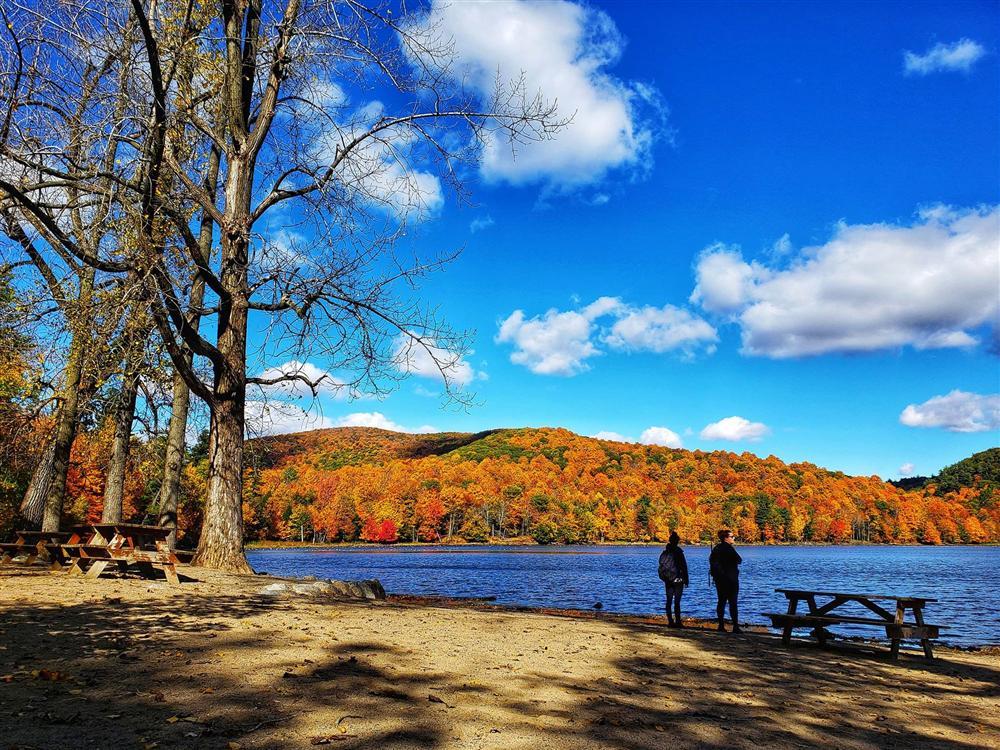 Say đắm vẻ đẹp Paris giữa vùng trời Bắc Mỹ mùa thay lá-5