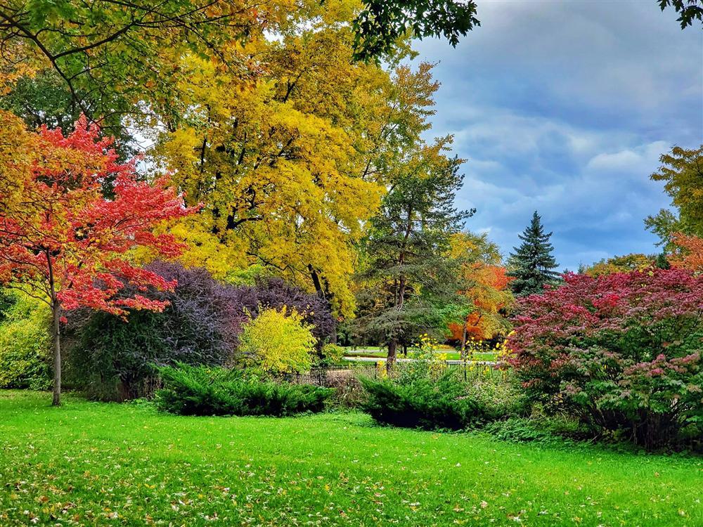 Say đắm vẻ đẹp Paris giữa vùng trời Bắc Mỹ mùa thay lá-7