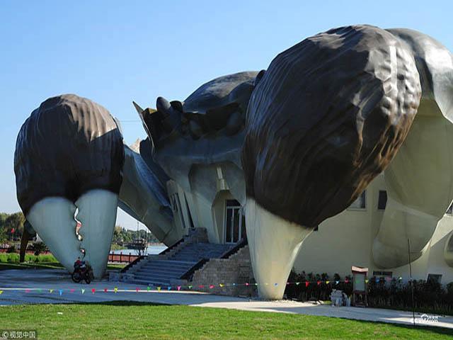 Viện bảo tàng hình con cua khổng lồ khiến du khách ngước nhìn mỏi cả mắt-4