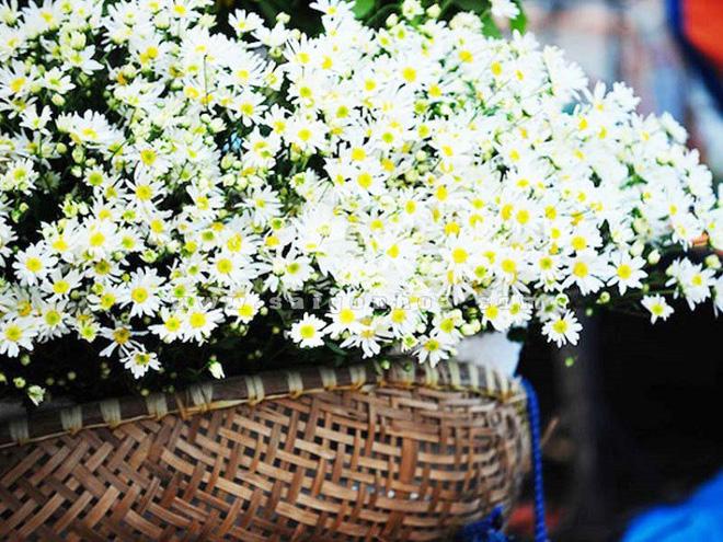 Tử vi Chủ nhật ngày 21/10/2018 của 12 con giáp: Tuổi Thân nên giữ bí mật, tuổi Dậu phân vân-4