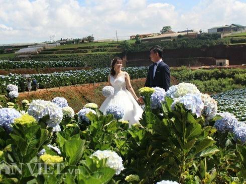 Chuyến đi ngắm hoàng hôn Santorini đáng ghen tỵ của chàng trai 9X và vợ-1