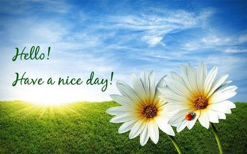 Tử vi 12 cung hoàng đạo ngày 22/10/2018: Kim Ngưu lãng mạn, Cự Giải đắn đo-2