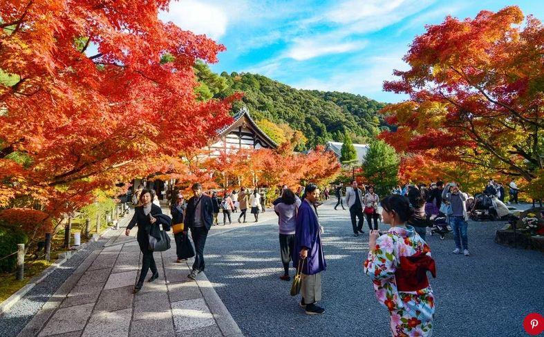 Hội An lọt top những thành phố châu Á tuyệt vời nhất-8