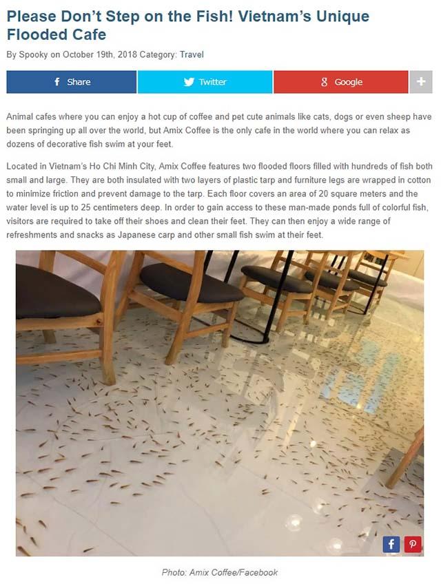 Quán cà phê cá bơi dưới ghế ngồi của Việt Nam lên báo nước ngoài-1
