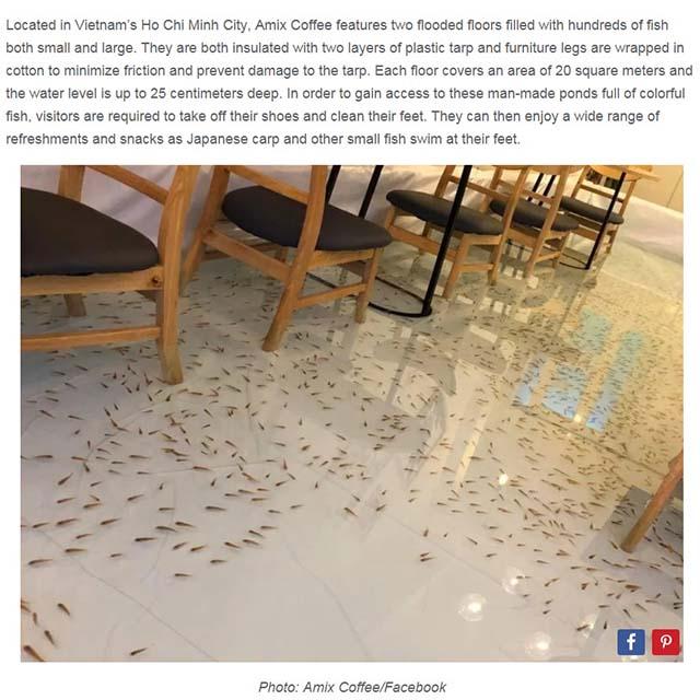 Quán cà phê cá bơi dưới ghế ngồi của Việt Nam lên báo nước ngoài-5