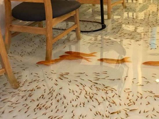 Quán cà phê cá bơi dưới ghế ngồi của Việt Nam lên báo nước ngoài