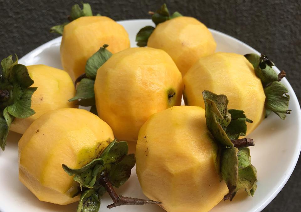 Chị em đua nhau khoe thành phẩm hồng treo gió siêu hấp dẫn-3