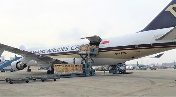 Vinamilk nhập từ Úc hơn 200 cô bò sữa hữu cơ-1