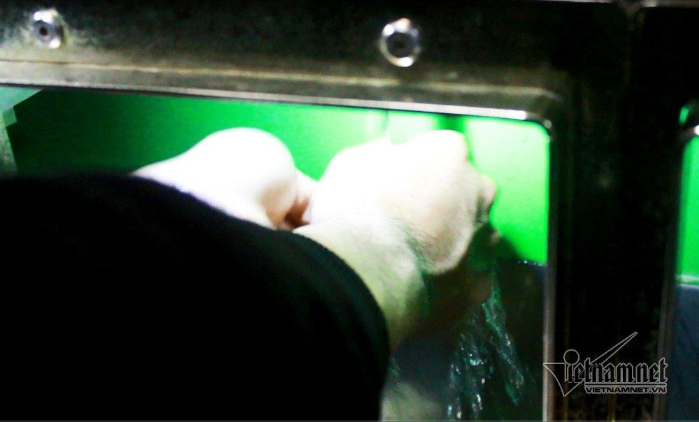 Khóc cười ở chốn sung sướng nhất Sài Gòn-5