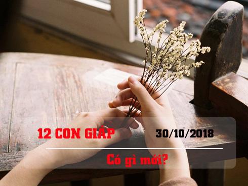 Tử vi thứ Ba ngày 30/10/2018 của 12 con giáp: Tuổi Mùi mất tiền, tuổi Hợi mọi sự hanh thông