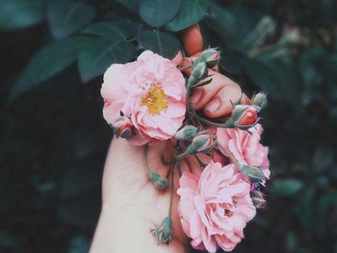 Tử vi tháng 11/2018 đầy biến động của 12 con giáp: Tuổi Hợi thuận lợi đủ đường