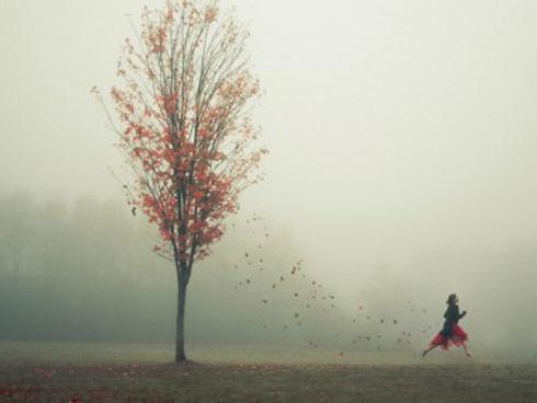 Tử vi của 12 cung hoàng đạo thứ Sáu ngày 2/11/2018: Bảo Bình gặp thị phi, Song Ngư được sếp đánh giá cao