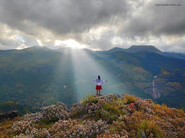 Thung lũng ngập màu tím biếc của sắc hoa 12 năm nở một lần-10
