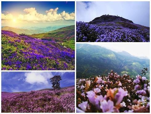 Tây Ninh - nơi lý tưởng cho du lịch cuối tuần-15