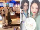 Hai cô gái Trung Quốc cosplay Thanh Xà - Bạch Xà đi mua trà sữa