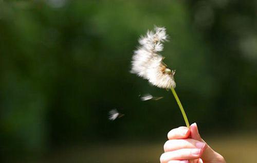 Tử vi của 12 cung hoàng đạo thứ 7 ngày 3/11/2018: Ma Kết mệt mỏi, Thiên Bình khó tránh thị phi-2