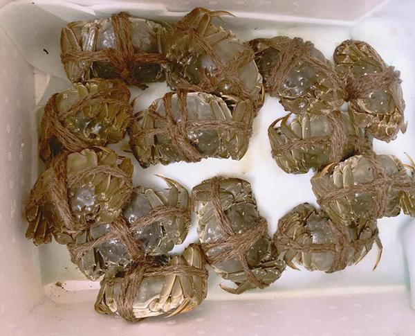 Loại cua bé nhưng thuộc top đắt nhất nhì thế giới được giới nhà giàu Việt săn lùng-2