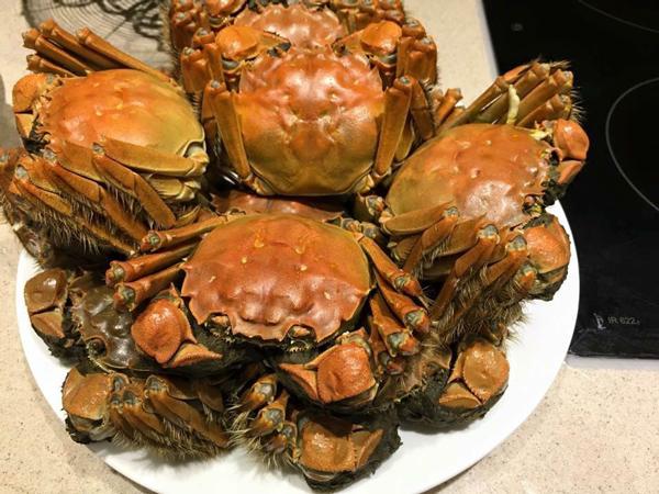 Loại cua bé nhưng thuộc top đắt nhất nhì thế giới được giới nhà giàu Việt săn lùng-3