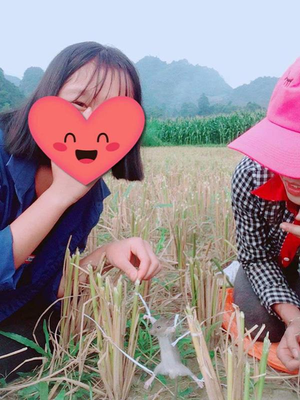 Cô gái xinh xắn bị truy lùng vì khoe ra đồng bắt chuột về ăn-2