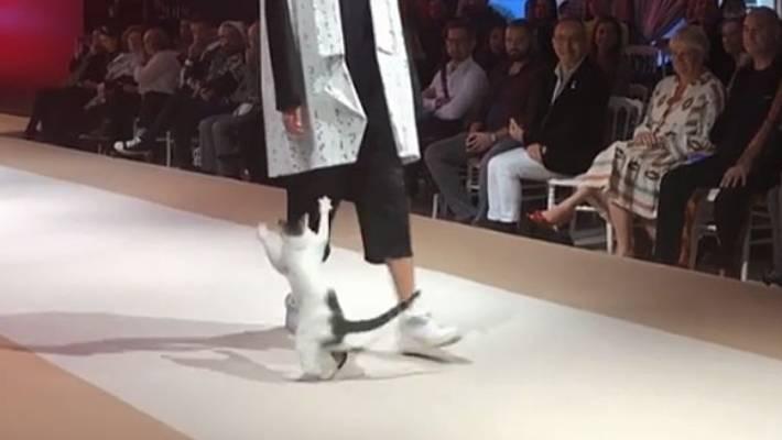 Người mẫu bị tấn công trên sàn catwalk ở Thổ Nhĩ Kỳ nhưng không ai nỡ đuổi thủ phạm-2