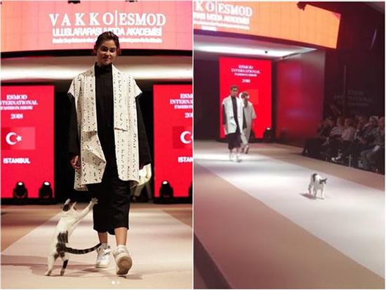 Người mẫu bị 'tấn công' trên sàn catwalk ở Thổ Nhĩ Kỳ nhưng không ai nỡ đuổi thủ phạm