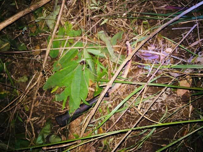 Vụ nữ sinh lớp 9 bị cưỡng hiếp: Bố nạn nhân nói điều bất ngờ về yêu râu xanh-1