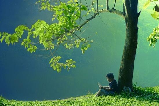 Chuyện khó tin nhưng có thật: Những vết sẹo được ký thác (Kỳ 2)-1