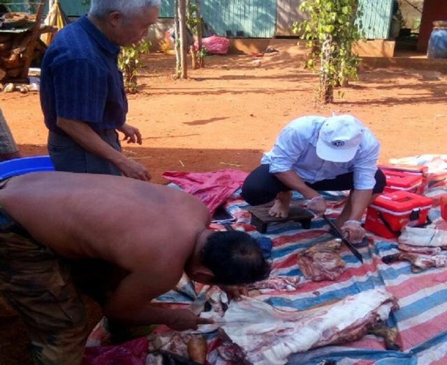 Giật mình cảnh sán dây rơi khi làm thịt lợn thả rông, hàng loạt người nhiễm bệnh-1