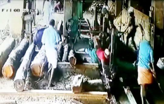 Clip: Người đàn ông đứt lìa bàn tay do ngã vào máy cưa lúc bị bò truy đuổi-1