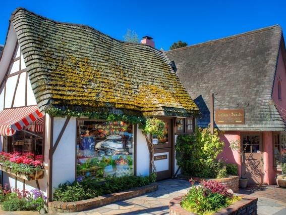 Một ngày săn dã quỳ, vườn hồng, chè xanh ở Đà Lạt-1