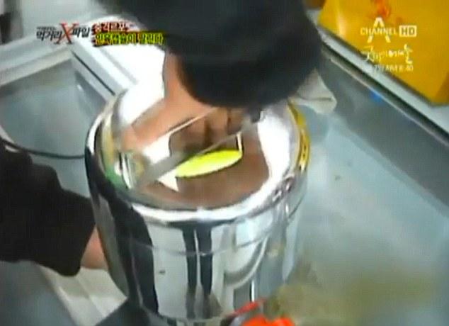 Thâm nhập đường dây sản xuất thuốc làm từ thịt người của Trung Quốc đang gây chấn động dư luận-2