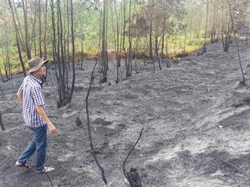 Cháy rừng dữ dội ở Mỹ, 25 người thiệt mạng-11