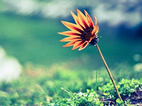 Xử Nữ có ngày thứ Năm (15/11/2018) vô cùng tốt đẹp, tiền bạc rủng rỉnh, các cung hoàng đạo khác thì sao?