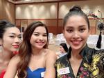 Tin vui bay về: Tiểu Vy xuất sắc lọt top 32 Top Model tại Miss World 2018-11