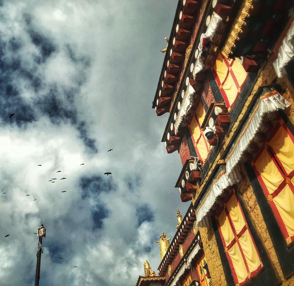 Quay clip chất phát ngất giữa tuyết rơi, cô nàng 9X khiến giới trẻ mơ một lần đến núi Ngọc Long - thiên đường tuyết phủ quanh năm-19