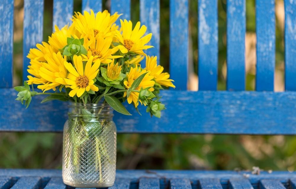 3 cung hoàng đạo chỉ việc ngồi chơi xơi nước, đếm tiền vào năm 2019-1