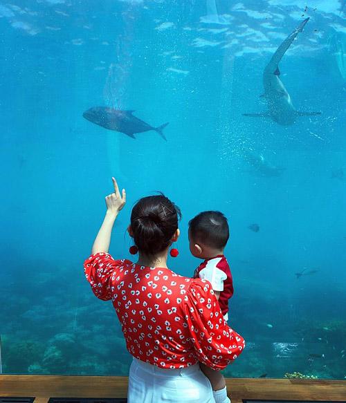 Gia đình Hồ Hạnh Nhi ở khách sạn triệu đô dưới đáy biển đầu tiên trên thế giới, mỗi đêm mất hơn tỷ đồng-10