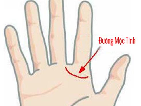 Đặc điểm của người có QUÝ NHÂN THEO GÓT, tiền bạc RỦNG RỈNH ĐẦY TÚI, cả đời may mắn an nhàn