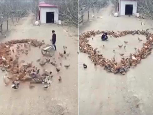 Mang hoa quỳ gối tỏ tình hot girl Học viện Âm nhạc, nam sinh bị dân mạng ném đá vì lý do này-7