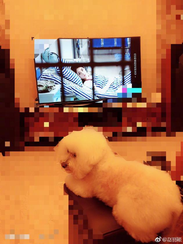 Triệu Lệ Dĩnh - Phùng Thiệu Phong tiết lộ cuộc sống ngọt ngào khi góp gạo thổi cơm chung-1