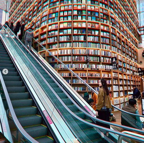 Đặng Thu Thảo khoe loạt ảnh đẹp cùng ông xã đại gia tình tứ tại Hàn Quốc-5