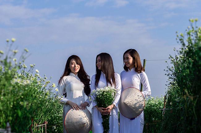 Cúc họa mi chớm nở phủ sắc trắng tinh khôi gọi đông về-2