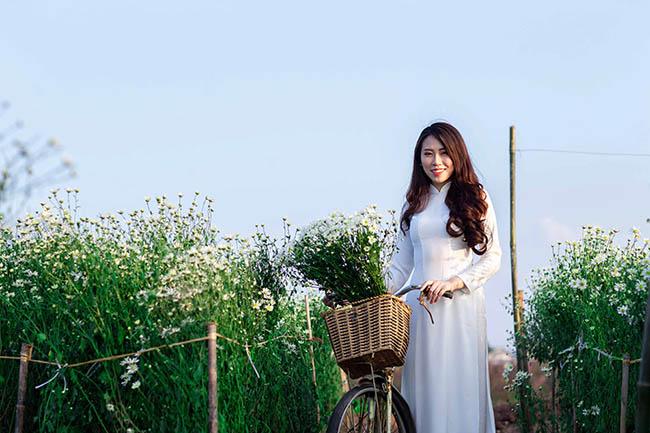 Cúc họa mi chớm nở phủ sắc trắng tinh khôi gọi đông về-5