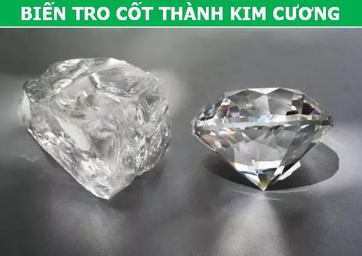 Khám phá những cách mai táng không tưởng nhờ sự góp sức của khoa học-2