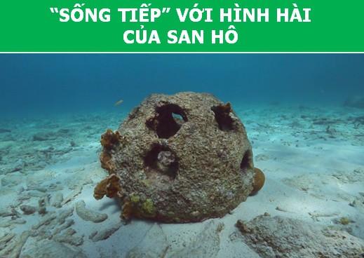 Khám phá những cách mai táng không tưởng nhờ sự góp sức của khoa học-3