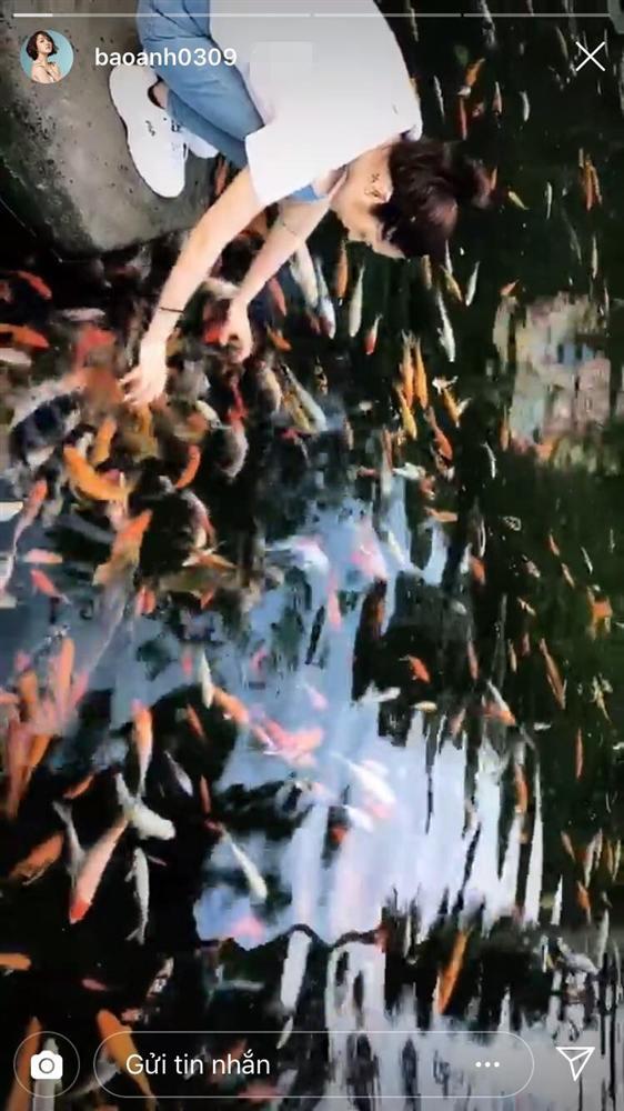Bị bắt gặp tại khu du lịch suối Mơ, lẽ nào Bảo Anh và Hồ Quang Hiếu tiếp tục tình cũ không rủ cũng tới!-2