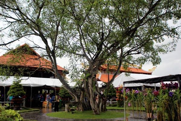 Nam Hoài Linh, Bắc Vượng Râu: Thiên Trường Vọng Phủ rộng hơn 1000m2, rợn người khi bước vào trong-14