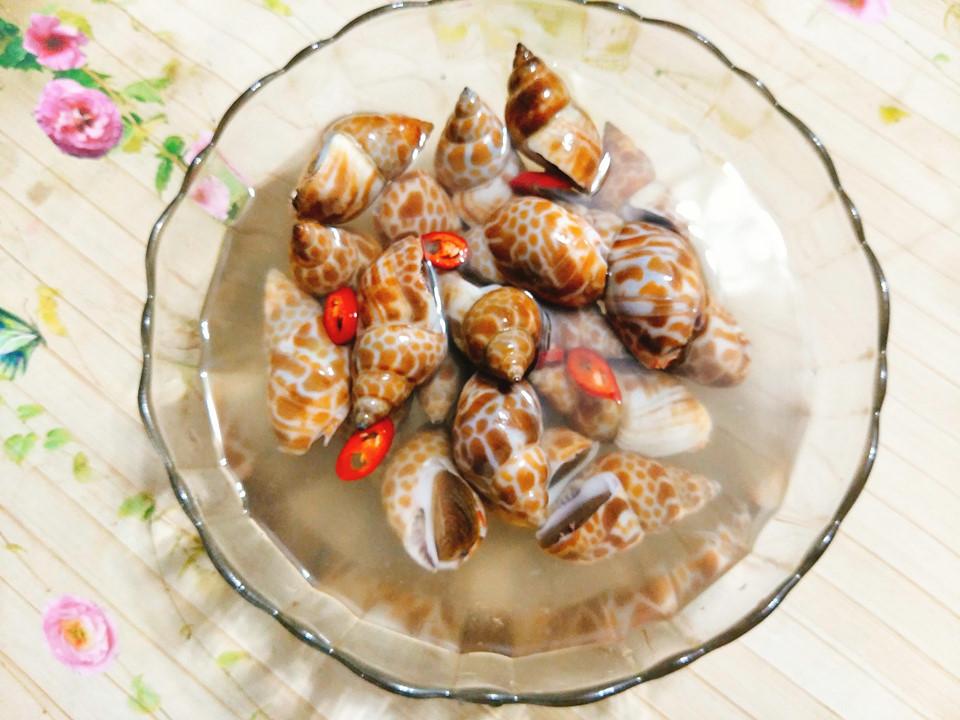 Ốc hương chấm sốt cay siêu ngon những ngày se lạnh-2