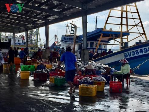 Bão số 9: Các địa phương từ miền Trung trở vào căng mình ứng phó-6