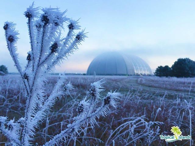 Ghé thăm nơi giữa mùa đông tuyết rơi vẫn có thể vô tư tắm biển-3